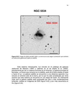 90



                                   NGC 5534

                                            N

                                                        NGC 5534




                 E




                                                                  1’
Figura II.43. Imagen B (DSS) de NGC 5534. La ranura se cruzó según la dirección que contiene
al núcleo de la galaxia principal y la satélite.




         Este sistema interactuante, fue incluido en el catálogo de galaxias
starbursts de Balzano (1987) y además en el de Dopita et al. (2002),
precisamente por ser un sistema luminoso en el infrarrojo. La galaxia principal es
barreada, y el brazo que conecta con la satélite, parte de la barra desde el oeste
y hacia el sur. La galaxia satélite se encuentra a una distancia aparente muy
cercana al extremo este de la barra, por lo que ha sido considerado por otros
autores que este sistema se encuentra en una etapa de fusión. Es interesante
notar que la galaxia satélite está compuesta por dos o más condensaciones
brillantes, visibles en imágenes de DSS (figura II.43) y aún más claramente en
Hα (figura II.44).
 