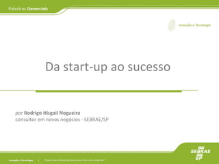Da start-up ao sucesso
O que uma startup necessita para virar uma empresa?
por Rodrigo Hisgail Nogueira
consultor em novos negócios - SEBRAE/SP
 