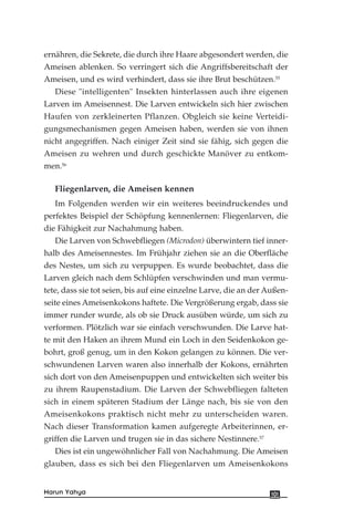 ernähren, die Sekrete, die durch ihre Haare abgesondert werden, die
Ameisen ablenken. So verringert sich die Angriffsbereitschaft der
Ameisen, und es wird verhindert, dass sie ihre Brut beschützen.55
Diese "intelligenten" Insekten hinterlassen auch ihre eigenen
Larven im Ameisennest. Die Larven entwickeln sich hier zwischen
Haufen von zerkleinerten Pflanzen. Obgleich sie keine Verteidi-
gungsmechanismen gegen Ameisen haben, werden sie von ihnen
nicht angegriffen. Nach einiger Zeit sind sie fähig, sich gegen die
Ameisen zu wehren und durch geschickte Manöver zu entkom-
men.56
Fliegenlarven, die Ameisen kennen
Im Folgenden werden wir ein weiteres beeindruckendes und
perfektes Beispiel der Schöpfung kennenlernen: Fliegenlarven, die
die Fähigkeit zur Nachahmung haben.
Die Larven von Schwebfliegen (Microdon) überwintern tief inner-
halb des Ameisennestes. Im Frühjahr ziehen sie an die Oberfläche
des Nestes, um sich zu verpuppen. Es wurde beobachtet, dass die
Larven gleich nach dem Schlüpfen verschwinden und man vermu-
tete, dass sie tot seien, bis auf eine einzelne Larve, die an der Außen-
seite eines Ameisenkokons haftete. Die Vergrößerung ergab, dass sie
immer runder wurde, als ob sie Druck ausüben würde, um sich zu
verformen. Plötzlich war sie einfach verschwunden. Die Larve hat-
te mit den Haken an ihrem Mund ein Loch in den Seidenkokon ge-
bohrt, groß genug, um in den Kokon gelangen zu können. Die ver-
schwundenen Larven waren also innerhalb der Kokons, ernährten
sich dort von den Ameisenpuppen und entwickelten sich weiter bis
zu ihrem Raupenstadium. Die Larven der Schwebfliegen falteten
sich in einem späteren Stadium der Länge nach, bis sie von den
Ameisenkokons praktisch nicht mehr zu unterscheiden waren.
Nach dieser Transformation kamen aufgeregte Arbeiterinnen, er-
griffen die Larven und trugen sie in das sichere Nestinnere.57
Dies ist ein ungewöhnlicher Fall von Nachahmung. Die Ameisen
glauben, dass es sich bei den Fliegenlarven um Ameisenkokons
101Harun Yahya
 