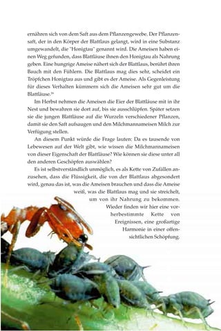 ernähren sich von dem Saft aus dem Pflanzengewebe. Der Pflanzen-
saft, der in den Körper der Blattlaus gelangt, wird in eine Substanz
umgewandelt, die "Honigtau" genannt wird. Die Ameisen haben ei-
nen Weg gefunden, dass Blattläuse ihnen den Honigtau als Nahrung
geben. Eine hungrige Ameise nähert sich der Blattlaus, berührt ihren
Bauch mit den Fühlern. Die Blattlaus mag dies sehr, scheidet ein
Tröpfchen Honigtau aus und gibt es der Ameise. Als Gegenleistung
für dieses Verhalten kümmern sich die Ameisen sehr gut um die
Blattläuse.59
Im Herbst nehmen die Ameisen die Eier der Blattläuse mit in ihr
Nest und bewahren sie dort auf, bis sie ausschlüpfen. Später setzen
sie die jungen Blattläuse auf die Wurzeln verschiedener Pflanzen,
damit sie den Saft aufsaugen und den Milchmannameisen Milch zur
Verfügung stellen.
An diesem Punkt würde die Frage lauten: Da es tausende von
Lebewesen auf der Welt gibt, wie wissen die Milchmannameisen
von dieser Eigenschaft der Blattläuse? Wie können sie diese unter all
den anderen Geschöpfen auswählen?
Es ist selbstverständlich unmöglich, es als Kette von Zufällen an-
zusehen, dass die Flüssigkeit, die von der Blattlaus abgesondert
wird, genau das ist, was die Ameisen brauchen und dass die Ameise
weiß, was die Blattlaus mag und sie streichelt,
um von ihr Nahrung zu bekommen.
Wieder finden wir hier eine vor-
herbestimmte Kette von
Ereignissen, eine großartige
Harmonie in einer offen-
sichtlichen Schöpfung.
 