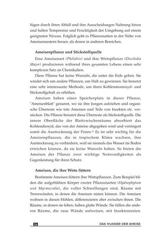 fügen durch ihren Abfall und ihre Ausscheidungen Nahrung hinzu
und halten Temperatur und Feuchtigkeit der Umgebung auf einem
geeigneten Niveau. Folglich geht es Pflanzenarten in der Nähe von
Ameisennestern besser, als denen in anderen Bereichen.
Ameisenpflanze und Stickstoffquelle
Eine Ameisenart (Philidris) und ihre Wirtspflanze (Dischidia
Major) produzieren während ihres gesamten Lebens einen sehr
komplexen Satz an Chemikalien.
Diese Pflanze hat keine Wurzeln, die unter die Erde gehen. Sie
windet sich um andere Pflanzen, um Halt zu gewinnen. Sie benutzt
eine sehr interessante Methode, um ihren Kohlenmonoxyd- und
Stickstoffgehalt zu erhöhen.
Ameisen haben einen Speicherplatz in dieser Pflanze,
"Ameisenblatt" genannt, wo sie ihre Jungen aufziehen und organi-
sche Überreste wie tote Ameisen und Teile von Insekten etc. ver-
stecken. Die Pflanze benutzt diese Überreste als Stickstoffquelle. Die
innere Oberfläche der Blattzwischenräume absorbiert das
Kohlendioxyd, das von der Ameise abgegeben wird und verringert
somit die Austrocknung der Poren.66
Es ist sehr wichtig für die
Ameisenpflanzen, die in tropischem Klima wachsen, ihre
Austrocknung zu verhindern, weil sie niemals das Wasser im Boden
erreichen können, da sie keine Wurzeln haben. So bieten die
Ameisen der Pflanze zwei wichtige Notwendigkeiten als
Gegenleistung für ihren Schutz.
Ameisen, die ihre Wirte füttern
Bestimmte Ameisen füttern ihre Wirtspflanzen. Zum Beispiel bil-
den die aufgeblähten Körper zweier Pflanzenarten (Hydnophytum
und Myrmecodia), die voller Schwellungen sind, Räume mit
Trennwänden, in denen die Ameisen nisten können. Die Ameisen
wohnen in diesen Höhlen, differenzieren aber zwischen ihnen. Die
Räume, in denen sie leben, haben glatte Wände. Sie füllen die ande-
ren Räume, die raue Wände aufweisen, mit Insektenresten.
DAS WUNDER DER AMEISE114
 