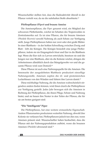 Wissenschaftler stellten fest, dass die Radioaktivität überall in der
Pflanze verteilt war, da sie die nahrhaften Stoffe absorbierte.67
Pfefferpflanze (Piper) und braune Ameise
Die Ameisenpflanze, die Piper genannt wird, ein Mitglied der
schwarzen Pfefferfamilie, wächst im Schatten des Tropenwaldes in
Zentralamerika auf. Es ist eine Pflanze, die für braune Ameisen
(Pheidole Bicornis) sowohl Nahrung als auch Schutz zur Verfügung
stellt. Junge Pfefferpflanzen haben nur zwei oder drei große Blätter.
In einer Blattbasis – in der hohlen Schwellung zwischen Zweig und
Blatt - lebt die Königin. Die Königin besiedelt eine junge Pfeffer-
pflanze, indem sie ein Eingangsloch frisst und Eier in die Blattbasis
legt. Wenn die Eier sich zu Larven entwickeln, besetzen sie und die
Jungen nur eine Blattbasis, aber da die Kolonie wächst, dringen die
Arbeiterinnen allmählich durch das Stängelgewebe vor und die ge-
samte Pflanze wird zum Domizil.68
Diese Pflanze ist auch eine Nahrungsquelle für die Ameisen. Die
Innenseite der ausgedehnten Blattbasis produziert einzellige
Nahrungsstoffe. Ameisen zupfen die öl- und proteinreichen
Leckerbissen von den Wänden und füttern ihre Larven damit.69
Diese reichhaltige Nahrung, die die Ameisen wahrscheinlich nir-
gendwo anders finden können, wird ihnen durch die Pfefferpflanze
zur Verfügung gestellt. Jedes Jahr bewegen sich die Ameisen in
Richtung der Pfefferpflanze, die ihnen Pflege, Schutz und Nahrung
bietet, und sie bauen ihre Nester in den Teilen der Pflanze, die für
sie am besten geeignet sind.
"Die "Intelligente" Piper
Die Pfefferpflanze, hat eine weitere erstaunliche Eigenschaft.
Andere Pflanzenarten produzieren weiterhin Nahrung, obwohl ihre
Kolonie sie verlassen hat, Pfefferpflanzen jedoch tun dies nur, wenn
Ameisen präsent sind. Wissenschaftler haben beobachtet, dass die
Pflanze mit der Nahrungsproduktion aufhört, wenn die braunen
Ameisen (Pheidole) abwesend sind.70
DAS WUNDER DER AMEISE116
 