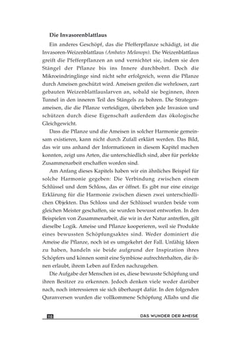 Die Invasorenblattlaus
Ein anderes Geschöpf, das die Pfefferpflanze schädigt, ist die
Invasoren-Weizenblattlaus (Ambates Melanops). Die Weizenblattlaus
greift die Pfefferpflanzen an und vernichtet sie, indem sie den
Stängel der Pflanze bis ins Innere durchbohrt. Doch die
Mikroeindringlinge sind nicht sehr erfolgreich, wenn die Pflanze
durch Ameisen geschützt wird. Ameisen greifen die wehrlosen, zart
gebauten Weizenblattlauslarven an, sobald sie beginnen, ihren
Tunnel in den inneren Teil des Stängels zu bohren. Die Strategen-
ameisen, die die Pflanze verteidigen, überleben jede Invasion und
schützen durch diese Eigenschaft außerdem das ökologische
Gleichgewicht.
Dass die Pflanze und die Ameisen in solcher Harmonie gemein-
sam existieren, kann nicht durch Zufall erklärt werden. Das Bild,
das wir uns anhand der Informationen in diesem Kapitel machen
konnten, zeigt uns Arten, die unterschiedlich sind, aber für perfekte
Zusammenarbeit erschaffen worden sind.
Am Anfang dieses Kapitels haben wir ein ähnliches Beispiel für
solche Harmonie gegeben: Die Verbindung zwischen einem
Schlüssel und dem Schloss, das er öffnet. Es gibt nur eine einzige
Erklärung für die Harmonie zwischen diesen zwei unterschiedli-
chen Objekten. Das Schloss und der Schlüssel wurden beide vom
gleichen Meister geschaffen, sie wurden bewusst entworfen. In den
Beispielen von Zusammenarbeit, die wir in der Natur antreffen, gilt
dieselbe Logik. Ameise und Pflanze kooperieren, weil sie Produkte
eines bewussten Schöpfungsaktes sind. Weder dominiert die
Ameise die Pflanze, noch ist es umgekehrt der Fall. Unfähig Ideen
zu haben, handeln sie beide aufgrund der Inspiration ihres
Schöpfers und können somit eine Symbiose aufrechterhalten, die ih-
nen erlaubt, ihrem Leben auf Erden nachzugehen.
Die Aufgabe der Menschen ist es, diese bewusste Schöpfung und
ihren Besitzer zu erkennen. Jedoch denken viele weder darüber
nach, noch interessieren sie sich überhaupt dafür. In den folgenden
Quranversen wurden die vollkommene Schöpfung Allahs und die
DAS WUNDER DER AMEISE118
 