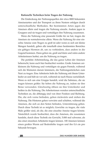 Rationelle Techniken beim Tragen der Nahrung
Die Entdeckung der Nahrungsquellen der etwa 8800 bekannten
Ameisenarten und der Transport zu ihren Nestern erfolgen durch
unterschiedliche Methoden. Bei bestimmten Arten jagen die
Ameisen allein und tragen die Nahrung einzeln. Andere jagen in
Gruppen und sie tragen und verteidigen ihre Nahrung zusammen.
Wenn die Nahrung eine passende Größe für sie hat, tragen die
Ameisen sie normalerweise allein. Wenn die Nahrung für eine ein-
zelne Ameise zum Tragen zu groß ist oder wenn es sich um kleine
Mengen handelt, geben alle innerhalb eines bestimmten Bereiches
ein giftiges Hormon ab, um zu verhindern, dass andere in die
Gegend kommen. Dann gehen sie, groß und klein und rufen andere
Arbeiterinnen herbei, um die Nahrung zu tragen.
Die perfekte Arbeitsteilung, die das ganze Leben der Ameisen
beherrscht, kann auch hier beobachtet werden. Große Ameisen zer-
kleinern die Nahrung und verteidigen sie gegen Fremde, während
sich die Kleineren darum kümmern, die Nahrungsstückchen zum
Nest zu tragen. Eine Arbeiterin hebt die Nahrung mit ihrem Unter-
kiefer an und hält sie vor sich, während sie nach Hause zurückläuft.
Wenn es sich um eine Gruppe handelt, wird die Substanz, die sie
tragen können größer. Sie heben die Nahrung an, indem sie ihre
Beine verwenden. Gleichzeitig öffnen sie ihre Unterkiefer und
beißen in die Nahrung. Die Arbeiterinnen wenden unterschiedliche
Techniken an, die abhängig sind von ihrer Position und Richtung.
Die, die sich vorne befinden, gehen rückwärts und ziehen die
Nahrung. Die Hinteren gehen vorwärts und schieben, während die
Ameisen, die sich an den Seiten befinden, Unterstützung geben.
Durch diese Technik ist es möglich, Gewichte zu tragen, die viele
Male größer sind, als die, die eine einzelne Ameise tragen könnte.
Tatsächlich wurde beobachtet, dass die Ameisen, die zusammen
handeln, durch diese Technik ein Gewicht, 5.000 mal schwerer, als
das einer einzelnen Arbeiterin tragen können. 100 Ameisen können
einen großen Wurm auf Bodenhöhe tragen und ihn 0,4 cm pro
Sekunde bewegen.
DAS WUNDER DER AMEISE146
 