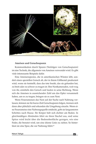 Ameisen und Geruchsspuren
Kommunikation durch Spuren (Verfolgen von Geruchsspuren)
ist eine Technik, die allgemein von Ameisen verwendet wird. Es gibt
viele interessante Beispiele dafür.
Eine Ameisenspezies, die in amerikanischen Wüsten lebt, son-
dert einen speziellen Geruch ab, der in ihrem Giftbeutel produziert
wird, wenn sie feststellt, dass das tote Insekt, das sie gefunden hat,
zu breit oder zu schwer zu tragen ist. Ihre Nestkameraden, weit weg
von ihr, ermitteln den Geruch und laufen in seine Richtung. Wenn
sich die Ameisen in ausreichender Zahl um das Opfer versammelt
haben, um es zu tragen, bringen sie es zum Nest.
Wenn Feuerameisen das Nest auf der Suche nach Nahrung ver-
lassen, können sie für kurze Zeit Geruchsspuren folgen, trennen sich
dann aber plötzlich und erkunden die Umgebung einzeln. Wenn ei-
ne Feuerameise eine Nahrungsquelle entdeckt, geht sie langsameren
Schrittes nach Hause. Ihr Körper hält sich dichter am Boden. In
gleichmäßigen Abständen fährt sie ihren Stachel aus, und seine
Spitze wird leicht über die Bodenoberfläche gezogen, wie eine
Feder, die benutzt wird, um eine dünne Linie zu ziehen. So hinter-
lässt sie eine Spur, die zur Nahrung führt.85
147Harun Yahya
 