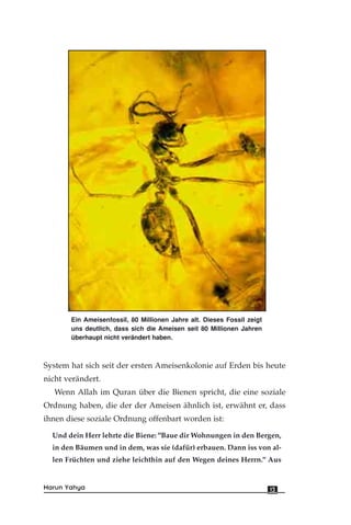 System hat sich seit der ersten Ameisenkolonie auf Erden bis heute
nicht verändert.
Wenn Allah im Quran über die Bienen spricht, die eine soziale
Ordnung haben, die der der Ameisen ähnlich ist, erwähnt er, dass
ihnen diese soziale Ordnung offenbart worden ist:
Und dein Herr lehrte die Biene: "Baue dir Wohnungen in den Bergen,
in den Bäumen und in dem, was sie (dafür) erbauen. Dann iss von al-
len Früchten und ziehe leichthin auf den Wegen deines Herrn." Aus
13Harun Yahya
Ein Ameisenfossil, 80 Millionen Jahre alt. Dieses Fossil zeigt
uns deutlich, dass sich die Ameisen seit 80 Millionen Jahren
überhaupt nicht verändert haben.
 