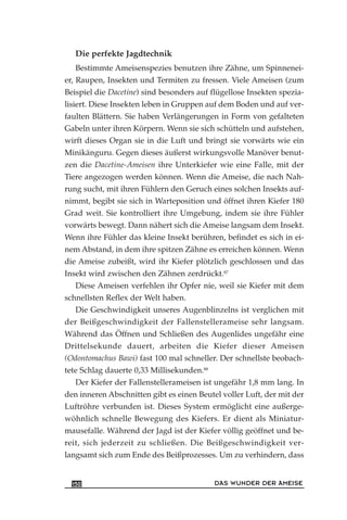 Die perfekte Jagdtechnik
Bestimmte Ameisenspezies benutzen ihre Zähne, um Spinnenei-
er, Raupen, Insekten und Termiten zu fressen. Viele Ameisen (zum
Beispiel die Dacetine) sind besonders auf flügellose Insekten spezia-
lisiert. Diese Insekten leben in Gruppen auf dem Boden und auf ver-
faulten Blättern. Sie haben Verlängerungen in Form von gefalteten
Gabeln unter ihren Körpern. Wenn sie sich schütteln und aufstehen,
wirft dieses Organ sie in die Luft und bringt sie vorwärts wie ein
Minikänguru. Gegen dieses äußerst wirkungsvolle Manöver benut-
zen die Dacetine-Ameisen ihre Unterkiefer wie eine Falle, mit der
Tiere angezogen werden können. Wenn die Ameise, die nach Nah-
rung sucht, mit ihren Fühlern den Geruch eines solchen Insekts auf-
nimmt, begibt sie sich in Warteposition und öffnet ihren Kiefer 180
Grad weit. Sie kontrolliert ihre Umgebung, indem sie ihre Fühler
vorwärts bewegt. Dann nähert sich die Ameise langsam dem Insekt.
Wenn ihre Fühler das kleine Insekt berühren, befindet es sich in ei-
nem Abstand, in dem ihre spitzen Zähne es erreichen können. Wenn
die Ameise zubeißt, wird ihr Kiefer plötzlich geschlossen und das
Insekt wird zwischen den Zähnen zerdrückt.87
Diese Ameisen verfehlen ihr Opfer nie, weil sie Kiefer mit dem
schnellsten Reflex der Welt haben.
Die Geschwindigkeit unseres Augenblinzelns ist verglichen mit
der Beißgeschwindigkeit der Fallenstellerameise sehr langsam.
Während das Öffnen und Schließen des Augenlides ungefähr eine
Drittelsekunde dauert, arbeiten die Kiefer dieser Ameisen
(Odontomachus Bawi) fast 100 mal schneller. Der schnellste beobach-
tete Schlag dauerte 0,33 Millisekunden.88
Der Kiefer der Fallenstellerameisen ist ungefähr 1,8 mm lang. In
den inneren Abschnitten gibt es einen Beutel voller Luft, der mit der
Luftröhre verbunden ist. Dieses System ermöglicht eine außerge-
wöhnlich schnelle Bewegung des Kiefers. Er dient als Miniatur-
mausefalle. Während der Jagd ist der Kiefer völlig geöffnet und be-
reit, sich jederzeit zu schließen. Die Beißgeschwindigkeit ver-
langsamt sich zum Ende des Beißprozesses. Um zu verhindern, dass
DAS WUNDER DER AMEISE150
 