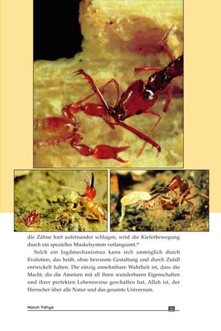 die Zähne hart aufeinander schlagen, wird die Kieferbewegung
durch ein spezielles Muskelsystem verlangsamt.89
Solch ein Jagdmechanismus kann sich unmöglich durch
Evolution, das heißt, ohne bewusste Gestaltung und durch Zufall
entwickelt haben. Die einzig annehmbare Wahrheit ist, dass die
Macht, die die Ameisen mit all ihren wunderbaren Eigenschaften
und ihrer perfekten Lebensweise geschaffen hat, Allah ist, der
Herrscher über alle Natur und das gesamte Universum.
151Harun Yahya
 