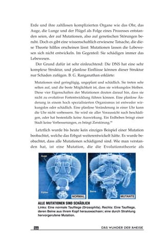 Erde und ihre zahllosen komplizierten Organe wie das Ohr, das
Auge, die Lunge und der Flügel als Folge eines Prozesses entstan-
den seien, der auf Mutationen, also auf genetischen Störungen be-
ruht. Doch es gibt eine wissenschaftlich erwiesene Tatsache, die die-
se Theorie hilflos erscheinen lässt: Mutationen lassen die Lebewe-
sen sich nicht entwickeln. Im Gegenteil: Sie schädigen immer das
Lebewesen.
Der Grund dafür ist sehr einleuchtend: Die DNS hat eine sehr
komplexe Struktur, und planlose Einflüsse können dieser Struktur
nur Schaden zufügen. B. G. Ranganathan erklärte:
Mutationen sind geringfügig, ungeplant und schädlich. Sie treten sehr
selten auf, und die beste Möglichkeit ist, dass sie wirkungslos bleiben.
Diese vier Eigenschaften der Mutationen deuten darauf hin, dass sie
nicht zu evolutiver Fortentwicklung führen können. Eine planlose Än-
derung in einem hoch spezialisierten Organismus ist entweder wir-
kungslos oder schädlich. Eine planlose Veränderung in einer Uhr kann
die Uhr nicht verbessern. Sie wird sie aller Voraussicht nach beschädi-
gen, oder hat bestenfalls keine Auswirkung. Ein Erdbeben bringt einer
Stadt keine Verbesserungen, es bringt Zerstörung.99
Letztlich wurde bis heute kein einziges Beispiel einer Mutation
beobachtet, welche das Erbgut weiterentwickelt hätte. Es wurde be-
obachtet, dass alle Mutationen schädigend sind. Wie man verstan-
den hat, ist eine Mutation, die die Evolutionstheorie als
DAS WUNDER DER AMEISE164
Fühler
NORMAL
Auge
Beine
MUTANTE
ALLE MUTATIONEN SIND SCHÄDLICH
Links: Eine normale Taufliege (Drosophila). Rechts: Eine Taufliege,
deren Beine aus ihrem Kopf herauswachsen; eine durch Strahlung
hervorgerufene Mutation.
 