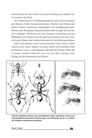 neue Galerien für ihre Nester; sie suchen Nahrung und säubern oh-
ne Unterlass das Nest.
Die Arbeiterinnen- und Soldatenameisen sind in die Untergrup-
pen Sklaven, Diebe, Krankenschwestern, Wachen und Furiere ein-
geteilt ("Furier" bezeichnet ursprünglich den Verpflegungs-Unter-
offizier einer Kompanie, Quartiermeister).Jede Gruppe hat eine an-
dere Aufgabe. Während sich eine Gruppe vollständig auf das
Bekämpfen des Feindes oder die Jagd konzentriert, baut eine ande-
re Gruppe Nester, eine weitere kümmert sich um Wartungsarbeiten.
Jedes Individuum einer Ameisenkolonie trägt seinen vollen
Anteil an der Arbeit. Keines von ihnen macht sich Gedanken über
die Position, in der es sich befindet, oder über die Art der Arbeit, die
es leistet, sondern führt das aus, was von ihm verlangt wird.
Wichtig ist die Kontinuität der Kolonie.
19Harun Yahya
Ameisen derselben Kolonie, die verschiedenen Kasten angehören, haben auch
unterschiedliche physische Erscheinungen. Der Körperbau ist der zu erfüllen-
den Aufgabe entsprechend ausgelegt.
 