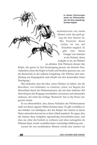 normalerweise aus einem
kleinen Loch, das groß ge-
nug für eine Ameise ist.
Das Passieren dieser
Löcher ist nur mit
Erlaubnis möglich. Es
gibt eine kleine
Gruppe von Ameisen
in der Kolonie, deren
Aufgabe es ist, als Pförtner
zu arbeiten. Den Pförtnern dienen ihre
Köpfe, die genau in den Nesteingang passen, als lebende Tore.
Außerdem sehen die Köpfe in Farbe und Struktur genauso aus, wie
die Baumrinde in der näheren Umgebung. Der Pförtner sitzt stun-
denlang am Eingangsloch und erlaubt nur den Kameraden freien
Durchgang.4
Dies bedeutet, dass die Idee, einen Pförtner zu halten, um die
Bewohner von Gebäuden zu schützen, schon vor Beginn der
Menschheit durch die Pförtnerameisen, die mit dem stärksten Teil
ihres Körpers den Eingang verschließen, sich tarnen und niemanden
einlassen, der nicht das richtige "Kennwort" hat, in die Praxis um-
gesetzt wurde.
Es ist offensichtlich, dass dieses Verhalten der Pförtnerameise
nicht auf ihrem eigenen Willen beruhen kann. Es gibt zweifellos ei-
nen Inhaber von Intelligenz, der den Körper der Ameise in dieser
Weise entworfen hat und sie zu ihrer Arbeit inspiriert. Zu sagen, dass
die Ameise diese Aufgaben eigenständig herausfinden kann, und
dass sie, ohne die Geduld zu verlieren und ohne aufzugeben als
Pförtner dient, würde zweifellos keine vernünftige Erklärung sein.
Lassen Sie uns nachdenken: Warum würde eine Ameise ein
DAS WUNDER DER AMEISE22
In diesen Zeichnungen
sehen wir Pförtneramei-
sen mit ihren speziell ge-
formten Köpfen.
 