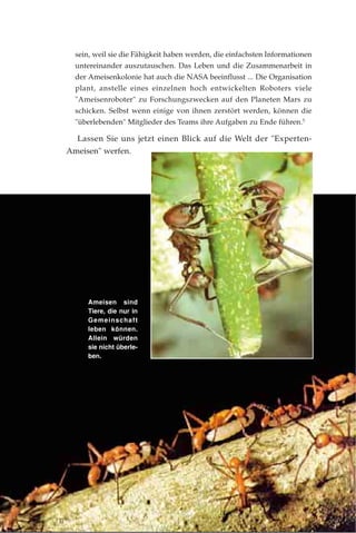 Ameisen sind
Tiere, die nur in
Gemeinschaft
leben können.
Allein würden
sie nicht überle-
ben.
sein, weil sie die Fähigkeit haben werden, die einfachsten Informationen
untereinander auszutauschen. Das Leben und die Zusammenarbeit in
der Ameisenkolonie hat auch die NASA beeinflusst ... Die Organisation
plant, anstelle eines einzelnen hoch entwickelten Roboters viele
"Ameisenroboter" zu Forschungszwecken auf den Planeten Mars zu
schicken. Selbst wenn einige von ihnen zerstört werden, können die
"überlebenden" Mitglieder des Teams ihre Aufgaben zu Ende führen.5
Lassen Sie uns jetzt einen Blick auf die Welt der "Experten-
Ameisen" werfen.
 