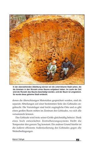 denen die überschüssigen Materialien gespeichert werden, sind als
separate Abteilungen auf einer bestimmten Seite des Gebäudes an-
gebracht. Die Vorratslager sind leicht zugängliche Orte und es gibt
einen großen Raum mitten im Zentrum des Gebäudes, wo sich alle
versammeln können.
Das Gebäude wird trotz seiner Größe gleichmäßig beheizt. Dank
eines hoch entwickelten Zentralheizungssystems bleibt die
Temperatur den ganzen Tag konstant. Ein anderer Grund hierfür ist
die äußerst effiziente Außenisolierung des Gebäudes gegen alle
Wetterbedingungen.
27Harun Yahya
In der obenstehenden Abbildung können wir die unterirdische Stadt sehen, die
die Ameisen in den Wurzeln eines Baums aufgebaut haben. Im Laufe der Zeit
sind die Wurzeln des Baums beschädigt worden, und der Baum ist umgestürzt.
So wurde diese geheime Stadt entdeckt.
 