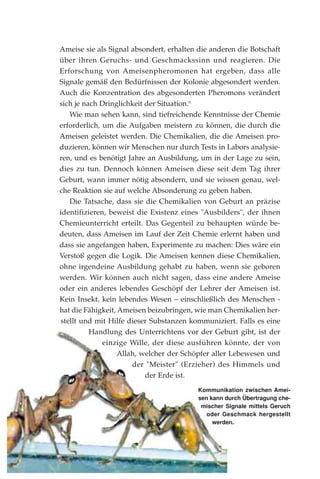 Ameise sie als Signal absondert, erhalten die anderen die Botschaft
über ihren Geruchs- und Geschmackssinn und reagieren. Die
Erforschung von Ameisenpheromonen hat ergeben, dass alle
Signale gemäß den Bedürfnissen der Kolonie abgesondert werden.
Auch die Konzentration des abgesonderten Pheromons verändert
sich je nach Dringlichkeit der Situation.9
Wie man sehen kann, sind tiefreichende Kenntnisse der Chemie
erforderlich, um die Aufgaben meistern zu können, die durch die
Ameisen geleistet werden. Die Chemikalien, die die Ameisen pro-
duzieren, können wir Menschen nur durch Tests in Labors analysie-
ren, und es benötigt Jahre an Ausbildung, um in der Lage zu sein,
dies zu tun. Dennoch können Ameisen diese seit dem Tag ihrer
Geburt, wann immer nötig absondern, und sie wissen genau, wel-
che Reaktion sie auf welche Absonderung zu geben haben.
Die Tatsache, dass sie die Chemikalien von Geburt an präzise
identifizieren, beweist die Existenz eines "Ausbilders", der ihnen
Chemieunterricht erteilt. Das Gegenteil zu behaupten würde be-
deuten, dass Ameisen im Lauf der Zeit Chemie erlernt haben und
dass sie angefangen haben, Experimente zu machen: Dies wäre ein
Verstoß gegen die Logik. Die Ameisen kennen diese Chemikalien,
ohne irgendeine Ausbildung gehabt zu haben, wenn sie geboren
werden. Wir können auch nicht sagen, dass eine andere Ameise
oder ein anderes lebendes Geschöpf der Lehrer der Ameisen ist.
Kein Insekt, kein lebendes Wesen – einschließlich des Menschen -
hat die Fähigkeit, Ameisen beizubringen, wie man Chemikalien her-
stellt und mit Hilfe dieser Substanzen kommuniziert. Falls es eine
Handlung des Unterrichtens vor der Geburt gibt, ist der
einzige Wille, der diese ausführen könnte, der von
Allah, welcher der Schöpfer aller Lebewesen und
der "Meister" (Erzieher) des Himmels und
der Erde ist.
Kommunikation zwischen Amei-
sen kann durch Übertragung che-
mischer Signale mittels Geruch
oder Geschmack hergestellt
werden.
 