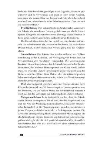 bedeutet, dass diese Mikrogeschöpfe in der Lage sind, Säure zu pro-
duzieren und zu verwenden, und zwar in solch einem Ausmaß,
dass sogar die Atmosphäre der Region in der sie leben, beeinflusst
werden kann, ohne dass sie selbst Schaden nehmen. Dies erstaunt
die Wissenschaftler.10
Pygidialdrüsen: Drei unterschiedliche Ameisenarten verwenden
die Sekrete, die von diesen Drüsen gebildet werden, als ihr Alarm-
system. Die große Wüstenernteameise überträgt dieses Hormon in
Form eines starken Geruchs und verbreitet einen Panikalarm.
Die Pheidole Biconstricta, bei der es sich um eine Ameisenart han-
delt, die in Südamerika lebt, verwendet das Sekret, das sie in diesen
Drüsen bildet, in der chemischen Verteidigung und bei Angriffs-
alarm.
Sternaldrüsen: Die Sekrete hier werden während der Völker-
wanderung in den Kolonien, der Verfolgung von Beute und zur
Versammlung der "Soldaten" verwendet. Die ursprüngliche
Funktion dieses Sekrets ist es, den 7. Unterleibsbereich der Ameise
einzufetten, den sie beim Herausspritzen des Giftes häufig drehen
muss. So wird das Drehen ihres Körpers zum Herausspritzen des
Giftes einfacher. Ohne diese Drüse, die ein mikroskopisches
Schmiermittelproduktionszentrum ist, würde das Verteidigungssy-
stem der Ameise wirkungslos sein.
Doch das Design ist fehlerlos: Wie eine winzige Ameise ihren
Körper drehen wird, um Gift herauszuspritzen, wurde genauso vor-
her bestimmt, wie auf welche Weise das Schmiermittel hergestellt
wird, das für das Verringern der Belastung beim Drehen nötig ist.
Metapleuraldrüsen: Es ist festgestellt worden, dass die Sekrete
dieser Drüsen antiseptische Mittel sind, die die Körperoberfläche
und das Nest vor Mikroorganismen schützen. Ein aktiver antibioti-
scher Bestandteil ist die Phenylessigsäure, von der eine Ameise zu
jedem Zeitpunkt durchschnittlich 1,4 Mikrogramm besitzt. Die
Arbeiterin gibt regelmäßig kleine Mengen dieser Mischung frei, die
als Antiseptikum dienen. Wenn sie von feindlichen Ameisen ange-
griffen wird, gibt sie plötzlich große Mengen des Metapleuraldrü-
sen-Sekretes frei, das jetzt die Funktion eines wirkungsvollen
Schutzmittels hat.11
DAS WUNDER DER AMEISE38
 