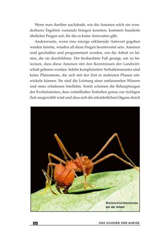Wenn man darüber nachdenkt, wie die Ameisen solch ein wun-
derbares Ergebnis zustande bringen konnten, kommen hunderte
ähnlicher Fragen auf, für die es keine Antworten gibt.
Andererseits, wenn eine einzige erklärende Antwort gegeben
werden könnte, würden all diese Fragen beantwortet sein. Ameisen
sind geschaffen und programmiert worden, um die Arbeit zu lei-
sten, die sie durchführen. Der beobachtete Fall genügt, um zu be-
weisen, dass diese Ameisen mit den Kenntnissen der Landwirt-
schaft geboren werden. Solche komplizierten Verhaltensmuster sind
keine Phänomene, die sich mit der Zeit in mehreren Phasen ent-
wickeln können. Sie sind die Leistung eines umfassenden Wissens
und eines erhabenen Intellekts. Somit scheinen die Behauptungen
der Evolutionisten, dass vorteilhaftes Verhalten genau zur richtigen
Zeit ausgewählt wird und dass sich die erforderlichen Organe durch
DAS WUNDER DER AMEISE54
Blattschneideameise
bei der Arbeit
 