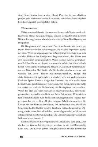sind. Da es für eine Ameise eine riskante Prozedur ist, jedes Blatt zu
prüfen, geht sie immer zu den Standorten, wo andere ihre Aufgaben
bereits erfolgreich durchgeführt haben.
Weberameisen
Weberameisen leben in Bäumen und bauen sich Nester aus Laub.
Indem sie Blätter zusammenfügen, können sie Nester über mehrere
Bäume hinweg bauen, die dadurch eine größere Bevölkerung er-
möglichen.
Die Bauphasen sind interessant. Zuerst suchen Arbeiterinnen ge-
trennt Standorte in der Kolonieregion, die für eine Expansion geeig-
net sind. Wenn sie einen passenden Zweig finden, verteilen sie sich
auf den Blättern der Zweige und beginnen damit, die Blätter von
den Seiten nach innen zu ziehen. Wenn es einer Ameise gelingt, ei-
nen Teil des Blattes zu biegen, kommen die sich in der Nähe befind-
lichen Arbeiterinnen herbei und fangen an, das Blatt zusammenzu-
zurren. Wenn das Blatt breiter als die Ameise ist oder wenn es not-
wendig ist, zwei Blätter zusammenzuziehen, bilden die
Arbeiterinnen Hängebrücken zwischen den zu verbindenden
Punkten. Später klettern einige der Ameisen, die sich in der Kette
befinden, auf den Rücken der Ameisen neben ihnen, um so die Kette
zu verkürzen und die Verbindung der Blattspitzen zu erreichen.
Wenn das Blatt die Form eines Zeltes angenommen hat, halten eini-
ge Ameisen weiterhin das Blatt mit ihren Beinen und Unterkiefern
fest, während andere zum alten Nest zurückgehen und speziell auf-
gezogene Larven zu dieser Region bringen. Arbeiterinnen reiben die
Larven auf den Blattspitzen hin und her und nutzen sie dadurch als
Seidenquelle. Die Blätter werden durch die Seide, die aus einer Öff-
nung direkt unter dem Mund der Larven abgesondert wird, an den
erforderlichen Positionen befestigt. Die Larven werden praktisch als
Nähmaschinen benutzt.27
Die Seidendrüsen dieser spinnenden Larven sind sehr groß, aber
die Larven können leicht getragen werden, da sie verhältnismäßig
klein sind. Die Larven geben ihre ganze Seide für den Bedarf der
DAS WUNDER DER AMEISE62
 