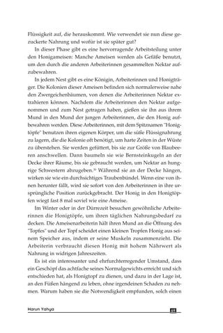Flüssigkeit auf, die herauskommt. Wie verwendet sie nun diese ge-
zuckerte Nahrung und wofür ist sie später gut?
In dieser Phase gibt es eine hervorragende Arbeitsteilung unter
den Honigameisen: Manche Ameisen werden als Gefäße benutzt,
um den durch die anderen Arbeiterinnen gesammelten Nektar auf-
zubewahren.
In jedem Nest gibt es eine Königin, Arbeiterinnen und Honigträ-
ger. Die Kolonien dieser Ameisen befinden sich normalerweise nahe
den Zwergeichenbäumen, von denen die Arbeiterinnen Nektar ex-
trahieren können. Nachdem die Arbeiterinnen den Nektar aufge-
nommen und zum Nest getragen haben, gießen sie ihn aus ihrem
Mund in den Mund der jungen Arbeiterinnen, die den Honig auf-
bewahren werden. Diese Arbeiterinnen, mit dem Spitznamen "Honig-
töpfe" benutzen ihren eigenen Körper, um die süße Flüssignahrung
zu lagern, die die Kolonie oft benötigt, um harte Zeiten in der Wüste
zu überstehen. Sie werden gefüttert, bis sie zur Größe von Blaubee-
ren anschwellen. Dann baumeln sie wie Bernsteinkugeln an der
Decke ihrer Räume, bis sie gebraucht werden, um Nektar an hung-
rige Schwestern abzugeben.30
Während sie an der Decke hängen,
wirken sie wie ein durchsichtiges Traubenbündel. Wenn eine von ih-
nen herunter fällt, wird sie sofort von den Arbeiterinnen in ihre ur-
sprüngliche Position zurückgebracht. Der Honig in den Honigtöp-
fen wiegt fast 8 mal soviel wie eine Ameise.
Im Winter oder in der Dürrezeit besuchen gewöhnliche Arbeite-
rinnen die Honigtöpfe, um ihren täglichen Nahrungsbedarf zu
decken. Die Ameisenarbeiterin hält ihren Mund an die Öffnung des
"Topfes" und der Topf scheidet einen kleinen Tropfen Honig aus sei-
nem Speicher aus, indem er seine Muskeln zusammenzieht. Die
Arbeiterin verbraucht diesen Honig mit hohem Nährwert als
Nahrung in widrigen Jahreszeiten.
Es ist ein interessanter und ehrfurchterregender Umstand, dass
ein Geschöpf das achtfache seines Normalgewichts erreicht und sich
entschieden hat, als Honigtopf zu dienen, und dazu in der Lage ist,
an den Füßen hängend zu leben, ohne irgendeinen Schaden zu neh-
men. Warum haben sie die Notwendigkeit empfunden, solch einen
69Harun Yahya
 