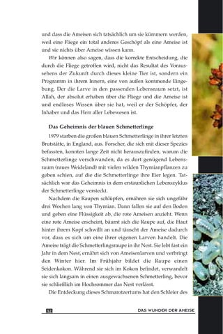 und dass die Ameisen sich tatsächlich um sie kümmern werden,
weil eine Fliege ein total anderes Geschöpf als eine Ameise ist
und sie nichts über Ameise wissen kann.
Wir können also sagen, dass die korrekte Entscheidung, die
durch die Fliege getroffen wird, nicht das Resultat des Voraus-
sehens der Zukunft durch dieses kleine Tier ist, sondern ein
Programm in ihrem Innern, eine von außen kommende Einge-
bung. Der die Larve in den passenden Lebensraum setzt, ist
Allah, der absolut erhaben über die Fliege und die Ameise ist
und endloses Wissen über sie hat, weil er der Schöpfer, der
Inhaber und das Herr aller Lebewesen ist.
Das Geheimnis der blauen Schmetterlinge
1979 starben die großen blauen Schmetterlinge in ihrer letzten
Brutstätte, in England, aus. Forscher, die sich mit dieser Spezies
befassten, konnten lange Zeit nicht herauszufinden, warum die
Schmetterlinge verschwanden, da es dort genügend Lebens-
raum (raues Weideland) mit vielen wilden Thymianpflanzen zu
geben schien, auf die die Schmetterlinge ihre Eier legen. Tat-
sächlich war das Geheimnis in dem erstaunlichen Lebenszyklus
der Schmetterlinge versteckt.
Nachdem die Raupen schlüpfen, ernähren sie sich ungefähr
drei Wochen lang von Thymian. Dann fallen sie auf den Boden
und geben eine Flüssigkeit ab, die rote Ameisen anzieht. Wenn
eine rote Ameise erscheint, bäumt sich die Raupe auf, die Haut
hinter ihrem Kopf schwillt an und täuscht der Ameise dadurch
vor, dass es sich um eine ihrer eigenen Larven handelt. Die
Ameise trägt die Schmetterlingsraupe in ihr Nest. Sie lebt fast ein
Jahr in dem Nest, ernährt sich von Ameisenlarven und verbringt
den Winter hier. Im Frühjahr bildet die Raupe einen
Seidenkokon. Während sie sich im Kokon befindet, verwandelt
sie sich langsam in einen ausgewachsenen Schmetterling, bevor
sie schließlich im Hochsommer das Nest verlässt.
Die Entdeckung dieses Schmarotzertums hat den Schleier des
DAS WUNDER DER AMEISE92
 