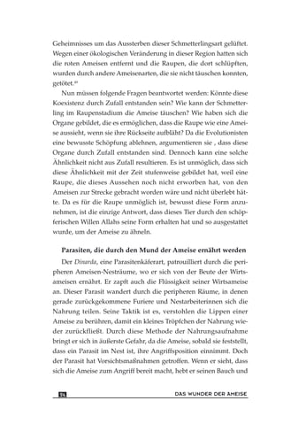 Geheimnisses um das Aussterben dieser Schmetterlingsart gelüftet.
Wegen einer ökologischen Veränderung in dieser Region hatten sich
die roten Ameisen entfernt und die Raupen, die dort schlüpften,
wurden durch andere Ameisenarten, die sie nicht täuschen konnten,
getötet.49
Nun müssen folgende Fragen beantwortet werden: Könnte diese
Koexistenz durch Zufall entstanden sein? Wie kann der Schmetter-
ling im Raupenstadium die Ameise täuschen? Wie haben sich die
Organe gebildet, die es ermöglichen, dass die Raupe wie eine Amei-
se aussieht, wenn sie ihre Rückseite aufbläht? Da die Evolutionisten
eine bewusste Schöpfung ablehnen, argumentieren sie , dass diese
Organe durch Zufall entstanden sind. Dennoch kann eine solche
Ähnlichkeit nicht aus Zufall resultieren. Es ist unmöglich, dass sich
diese Ähnlichkeit mit der Zeit stufenweise gebildet hat, weil eine
Raupe, die dieses Aussehen noch nicht erworben hat, von den
Ameisen zur Strecke gebracht worden wäre und nicht überlebt hät-
te. Da es für die Raupe unmöglich ist, bewusst diese Form anzu-
nehmen, ist die einzige Antwort, dass dieses Tier durch den schöp-
ferischen Willen Allahs seine Form erhalten hat und so ausgestattet
wurde, um der Ameise zu ähneln.
Parasiten, die durch den Mund der Ameise ernährt werden
Der Dinarda, eine Parasitenkäferart, patrouilliert durch die peri-
pheren Ameisen-Nesträume, wo er sich von der Beute der Wirts-
ameisen ernährt. Er zapft auch die Flüssigkeit seiner Wirtsameise
an. Dieser Parasit wandert durch die peripheren Räume, in denen
gerade zurückgekommene Furiere und Nestarbeiterinnen sich die
Nahrung teilen. Seine Taktik ist es, verstohlen die Lippen einer
Ameise zu berühren, damit ein kleines Tröpfchen der Nahrung wie-
der zurückfließt. Durch diese Methode der Nahrungsaufnahme
bringt er sich in äußerste Gefahr, da die Ameise, sobald sie feststellt,
dass ein Parasit im Nest ist, ihre Angriffsposition einnimmt. Doch
der Parasit hat Vorsichtsmaßnahmen getroffen. Wenn er sieht, dass
sich die Ameise zum Angriff bereit macht, hebt er seinen Bauch und
DAS WUNDER DER AMEISE94
 