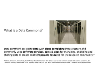 What is Data Commons and How Can Your Organization Build One? | PDF