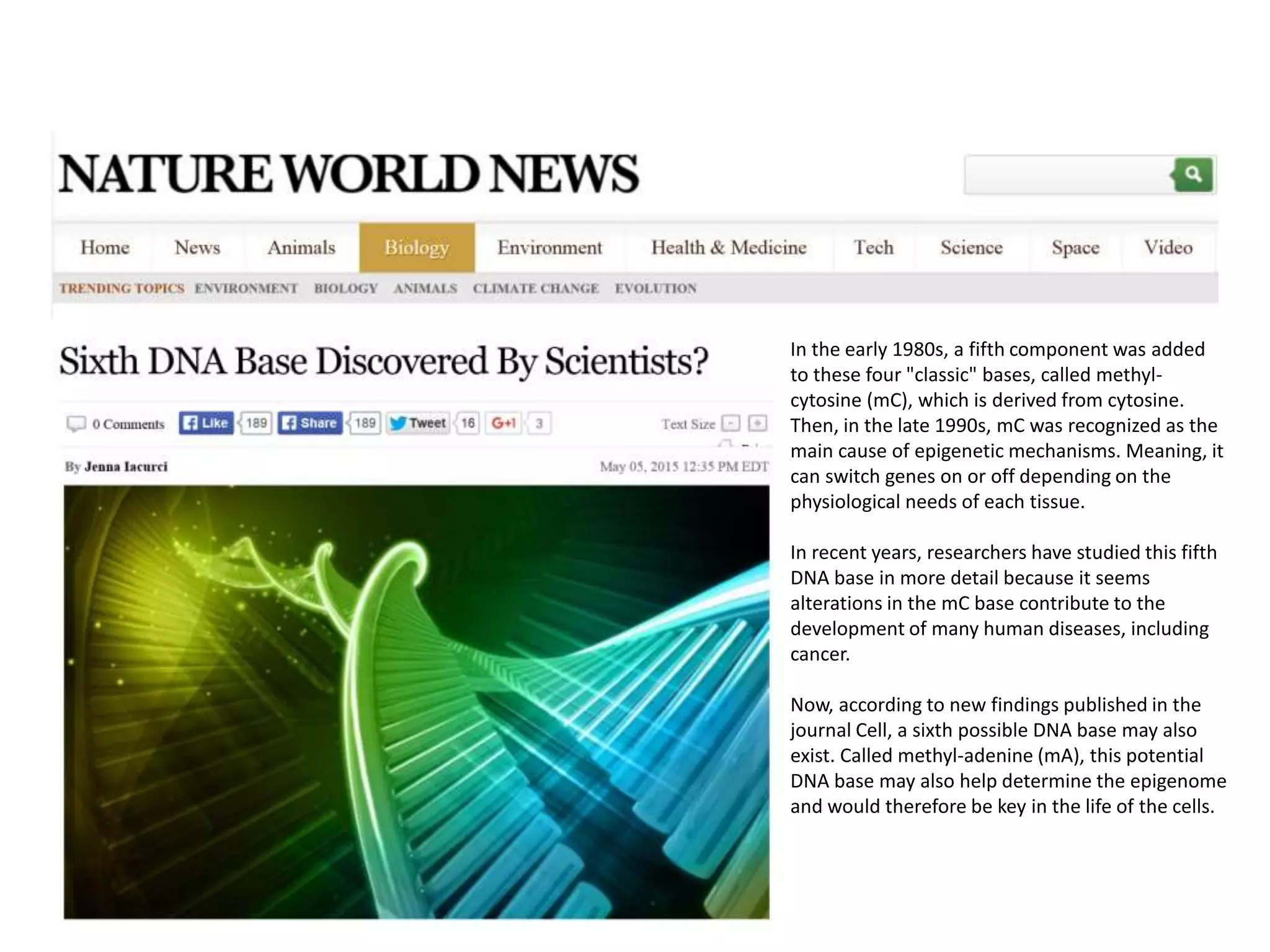 In the early 1980s, a fifth component was added
to these four "classic" bases, called methyl-
cytosine (mC), which is derived from cytosine.
Then, in the late 1990s, mC was recognized as the
main cause of epigenetic mechanisms. Meaning, it
can switch genes on or off depending on the
physiological needs of each tissue.
In recent years, researchers have studied this fifth
DNA base in more detail because it seems
alterations in the mC base contribute to the
development of many human diseases, including
cancer.
Now, according to new findings published in the
journal Cell, a sixth possible DNA base may also
exist. Called methyl-adenine (mA), this potential
DNA base may also help determine the epigenome
and would therefore be key in the life of the cells.
 