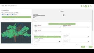 Tree Inventory Attributes Advancing Tree Inventory Technologies for Grounds Management ...