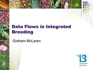 Data Flows in Integrated
Breeding
Graham McLaren
 