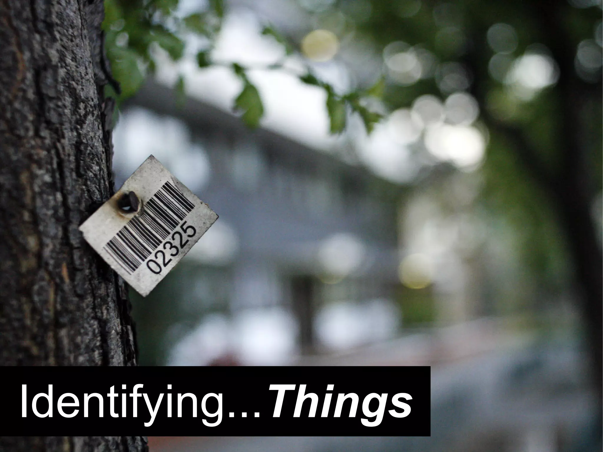 Identifying...Things
 