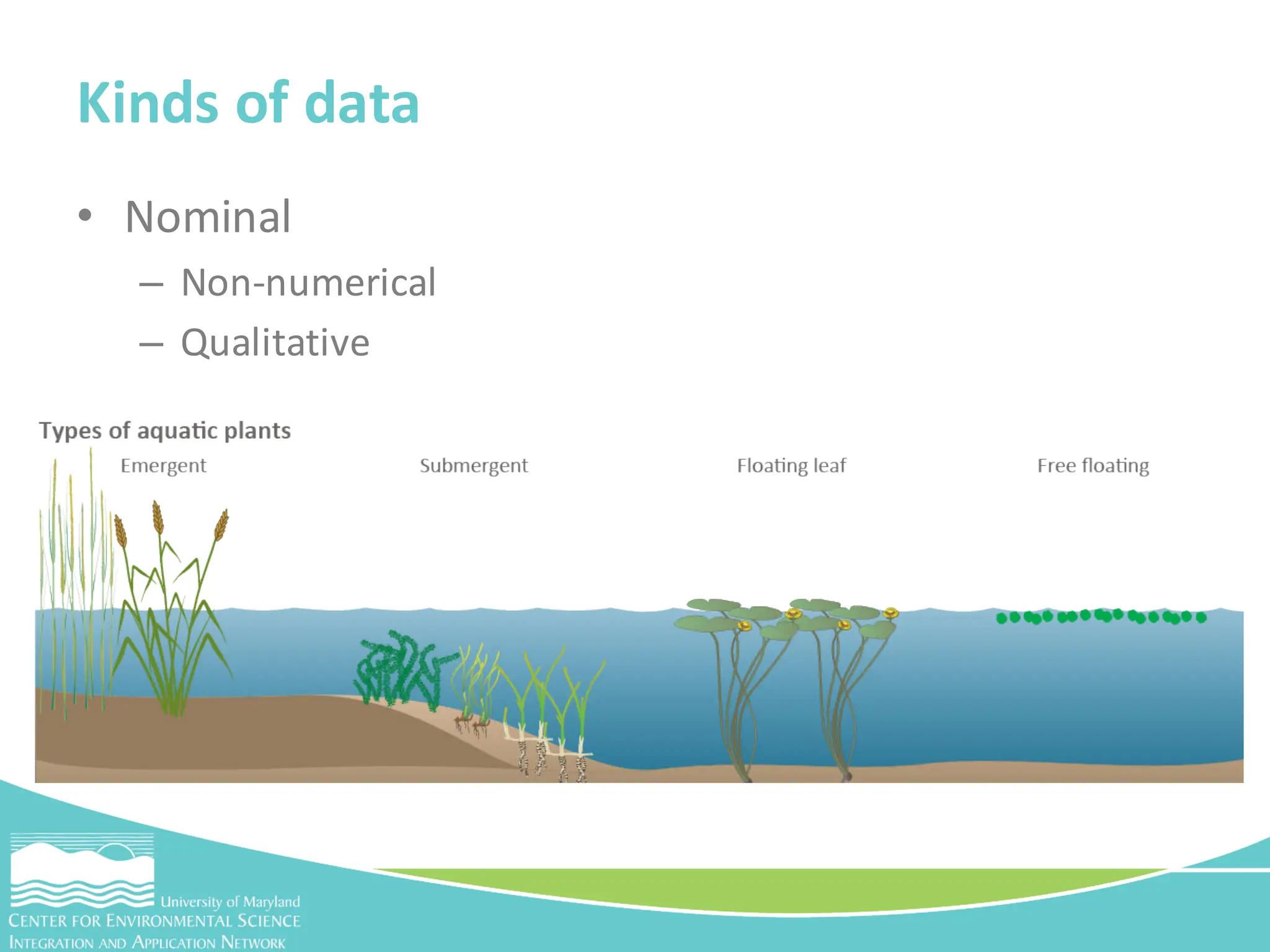 • Nominal
– Non-numerical
– Qualitative
Kinds of data
 