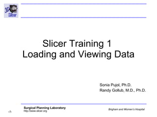 Slicer Training 1  Loading and Viewing Data Sonia Pujol, Ph.D. Randy Gollub, M.D., Ph.D. 