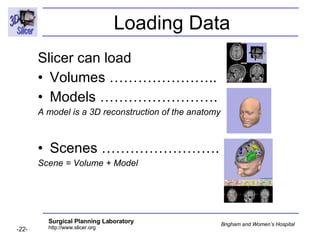 Data Loading and Visualization-3735 | PPT