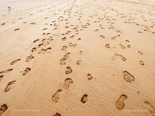 Data-Need Fit, ServDes, May 2016Image: © Dudarev Mikhail – fotolia.com
 