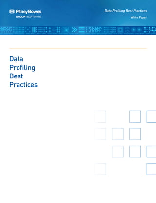 White Paper
Data Profiling Best Practices
Data
Proﬁling
Best
Practices
 