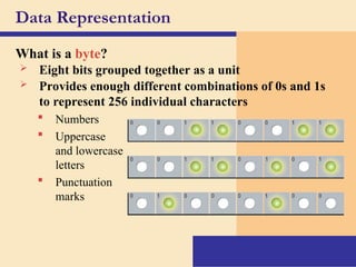 Data-Representation about programming.ppt