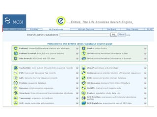 Entrez
 