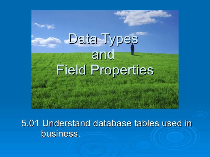 Data Types And Field Properties