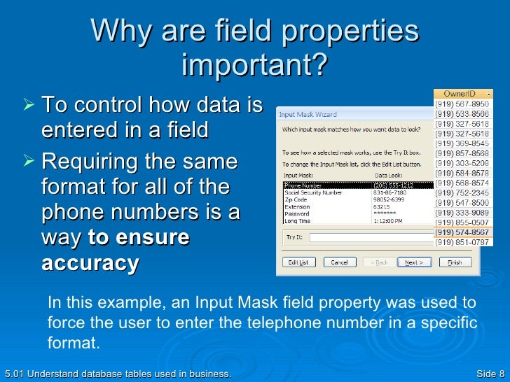 Data Types And Field Properties