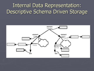 Internal Data Representation: Descriptive Schema Driven Storage 