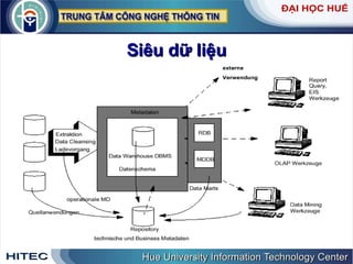 Siêu   dữ   liệu 