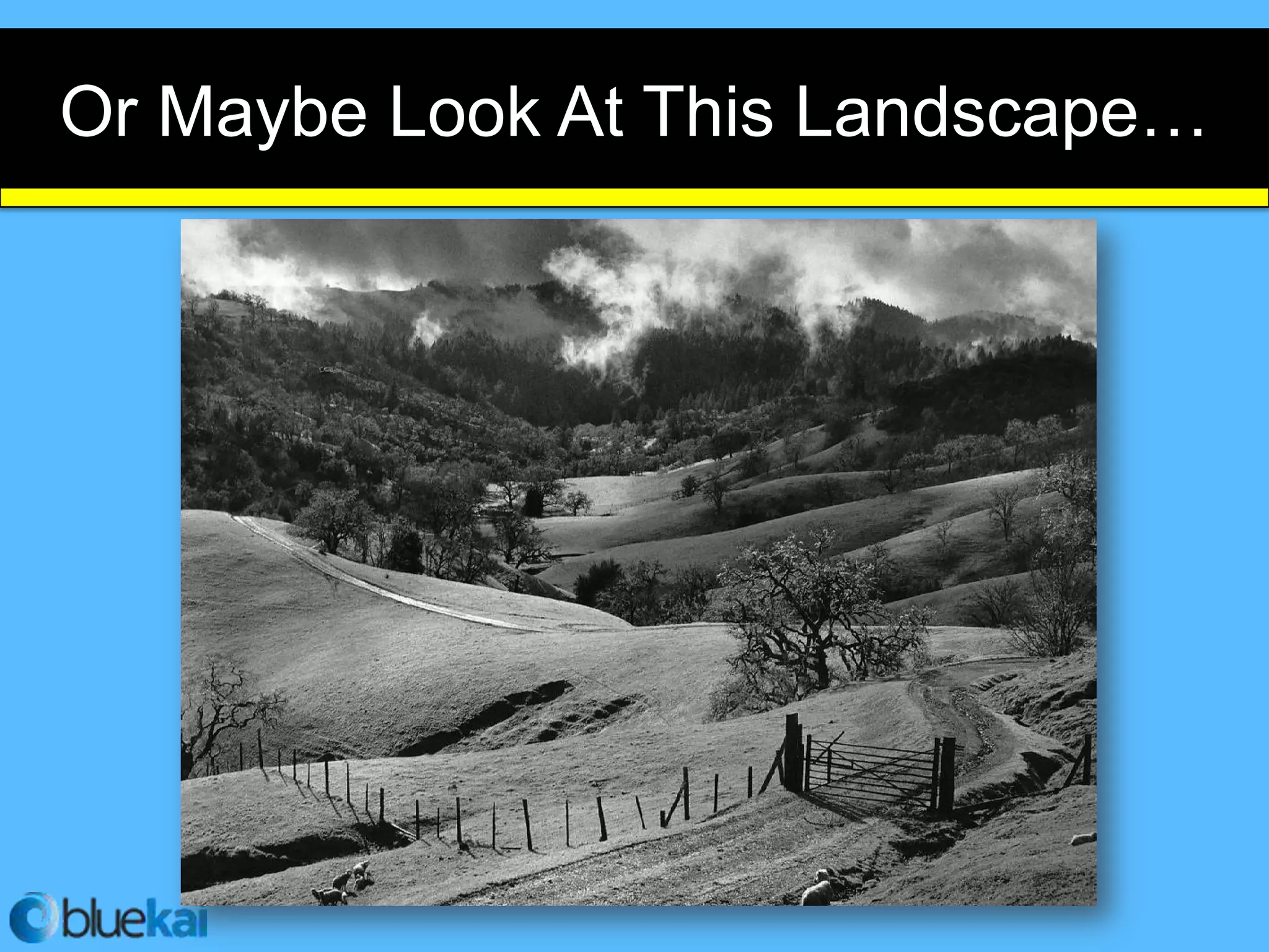 Or Maybe Look At This Landscape…
 