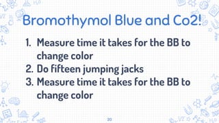 Bromothymol Blue and Co2!
1. Measure time it takes for the BB to
change color
2. Do fifteen jumping jacks
3. Measure time it takes for the BB to
change color
20
 