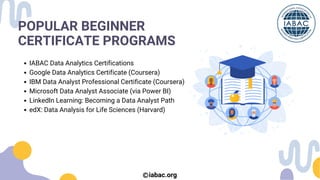 Data Analyst Certificate Programs for Beginners | IABAC | PDF