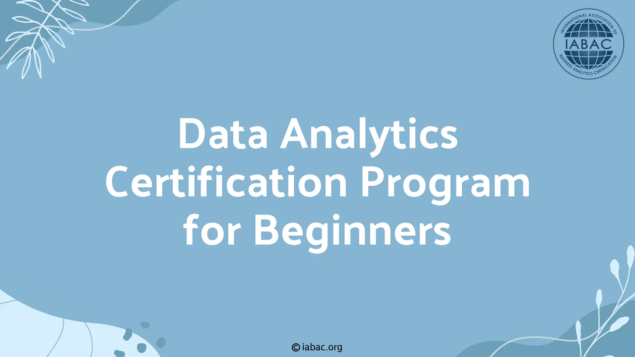 iabac.org
Data Analytics
Certification Program
for Beginners