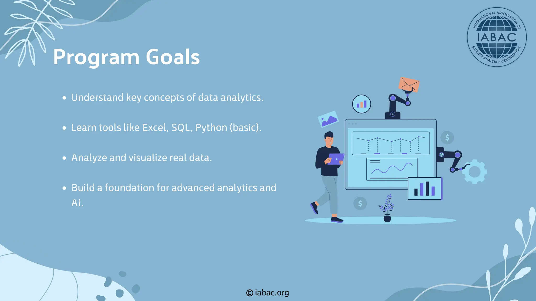 iabac.org
Understand key concepts of data analytics.
Learn tools like Excel, SQL, Python (basic).
Analyze and visualize real data.
Build a foundation for advanced analytics and
AI.
Program Goals