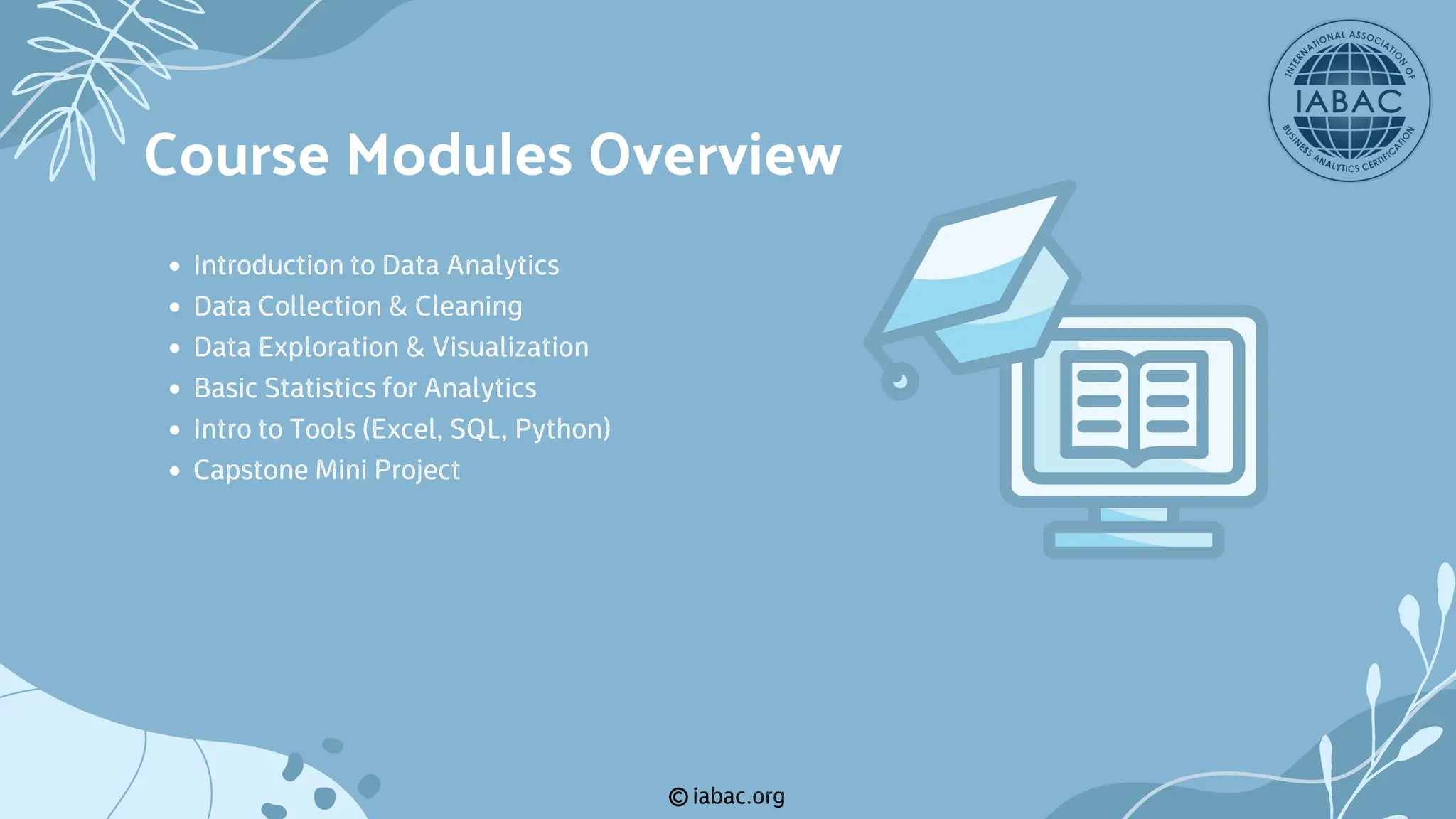 iabac.org
Introduction to Data Analytics
Data Collection & Cleaning
Data Exploration & Visualization
Basic Statistics for Analytics
Intro to Tools (Excel, SQL, Python)
Capstone Mini Project
Course Modules Overview