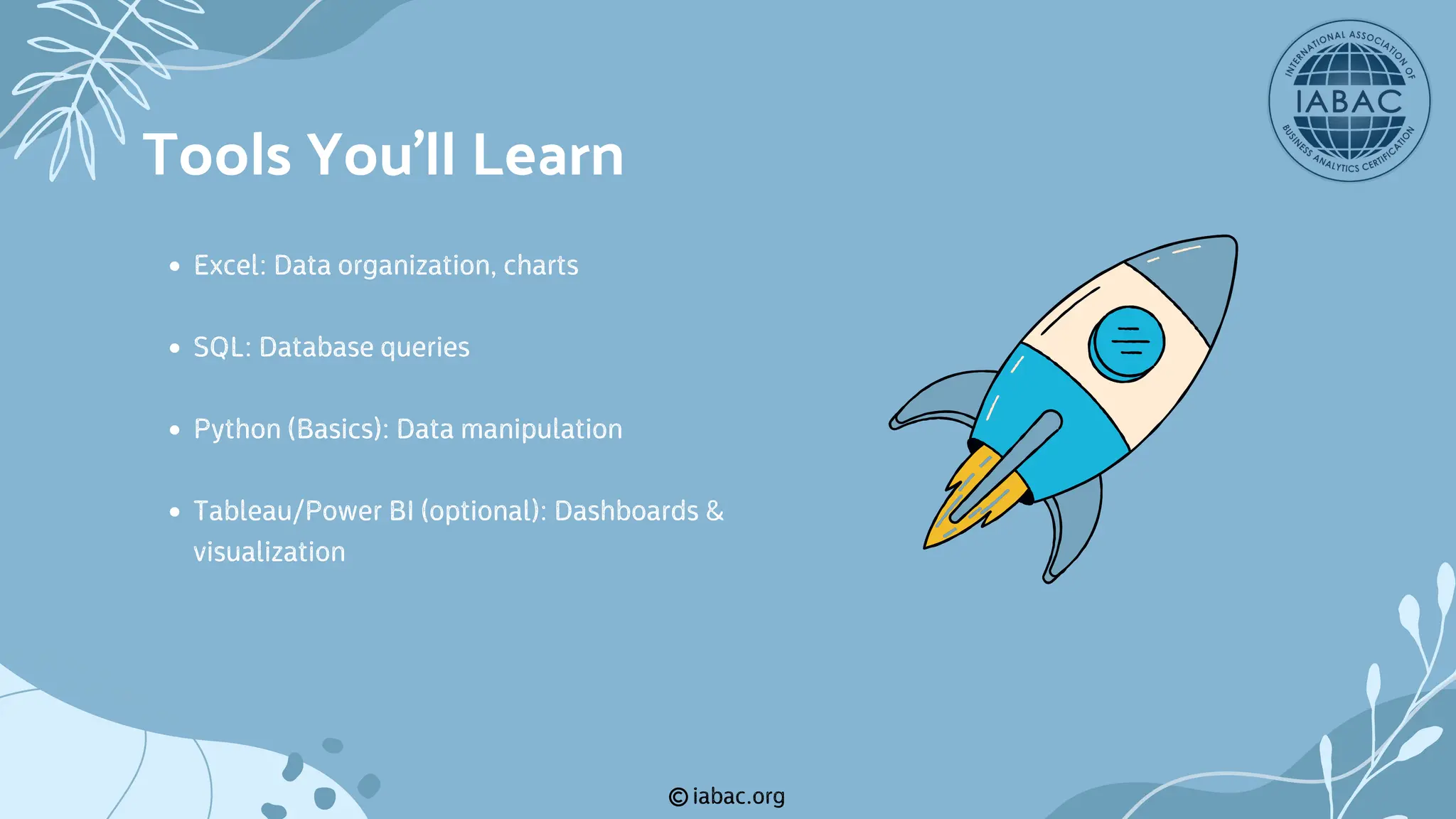 iabac.org
Excel: Data organization, charts
SQL: Database queries
Python (Basics): Data manipulation
Tableau/Power BI (optional): Dashboards &
visualization
Tools You'll Learn