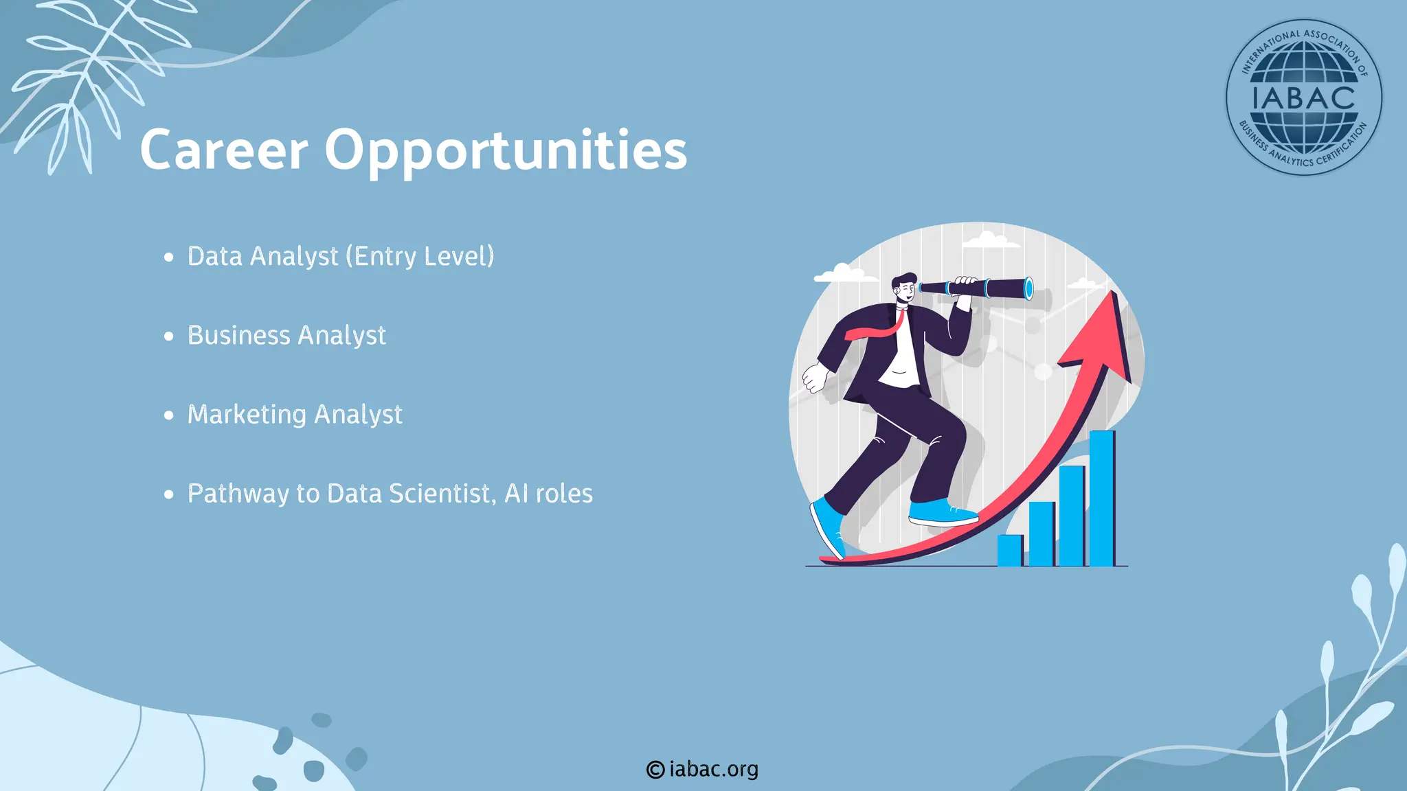 iabac.org
Data Analyst (Entry Level)
Business Analyst
Marketing Analyst
Pathway to Data Scientist, AI roles
Career Opportunities