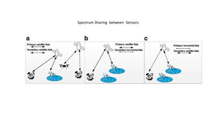 Spectrum Sharing between Sensors
 