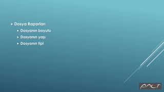  Dosya Raporları
 Dosyanın boyutu
 Dosyanın yaşı
 Dosyanın tipi
 